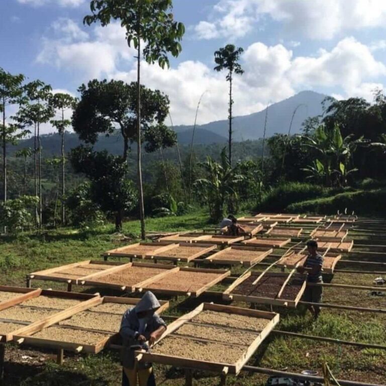 west_java_manglayang_mountain_3